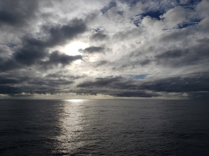 Sunrise Samoan Clipper Search 